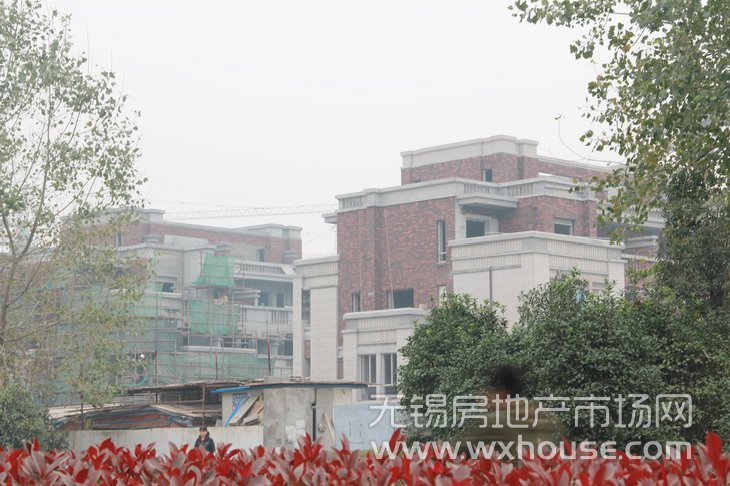 别墅现场施工进度      