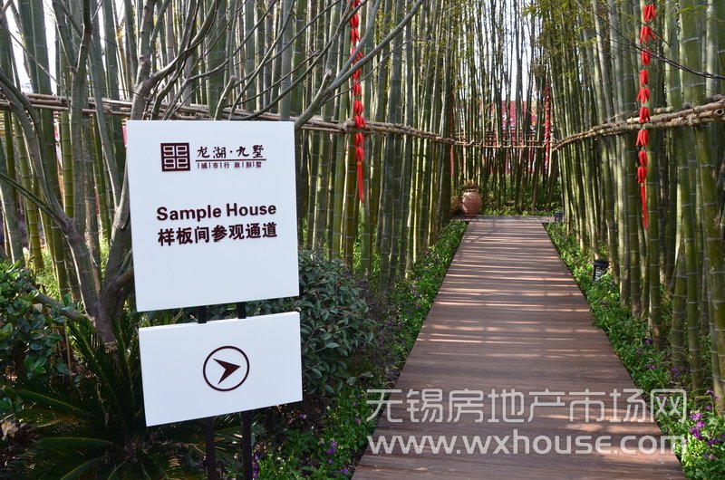 小区绿化      