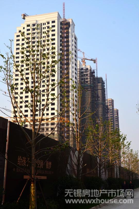 现场施工进度      