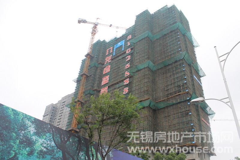 施工进度      