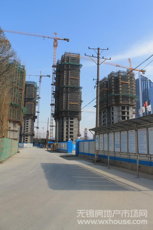 项目施工进度      