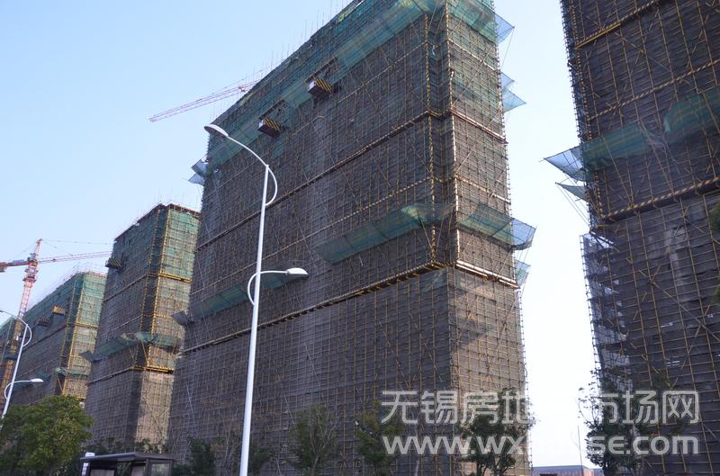 项目施工进度      