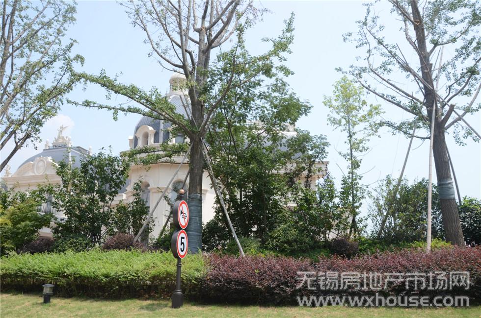 实景图      