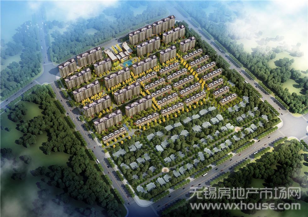 鸟瞰图      
