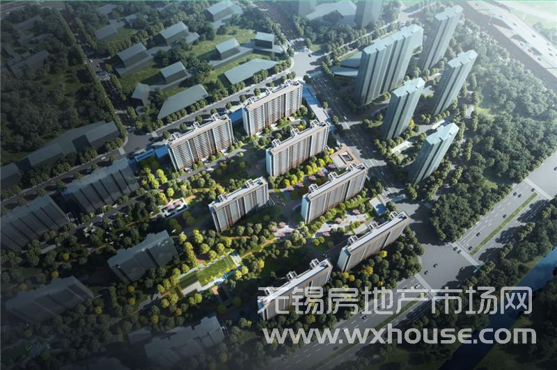 鸟瞰图
